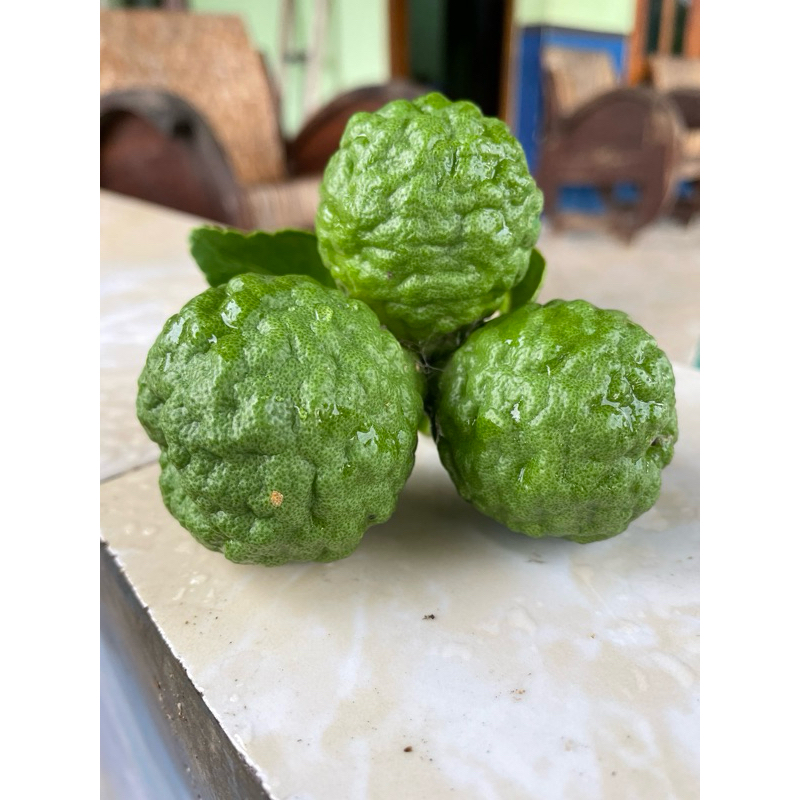 

JERUK PURUT jantan SEGAR berat 1kg