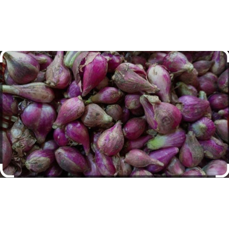 

Bawang merah 100 gr