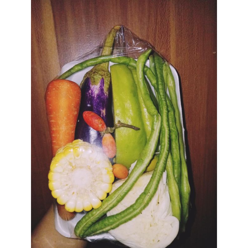 

Sayur Lodeh Paket Komplit