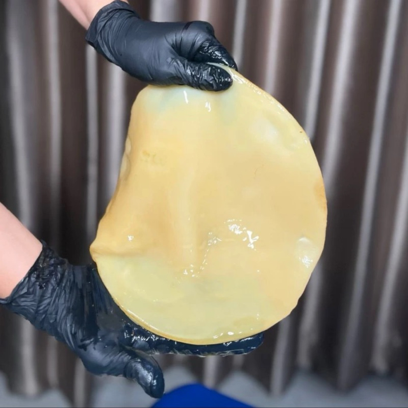 

scoby kombucha dimeter 14cm