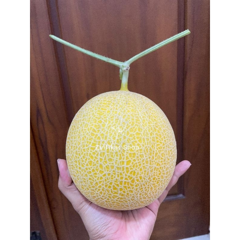 

Melon Inthanon Premium (Hidroponik Greenhouse)