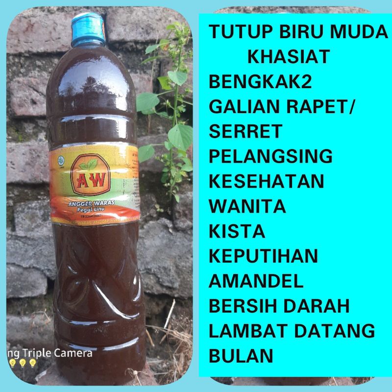 

JAMU HERBAL AW PEGEL LINU TUTUP BARU MUDA