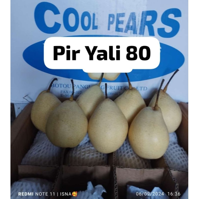 

BUAH PEAR YALI FRESH MANIS 1KG