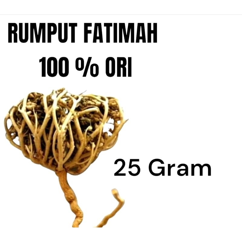 

Rumput Fatima Asli Arab Melancarkan Persalinan dan haid