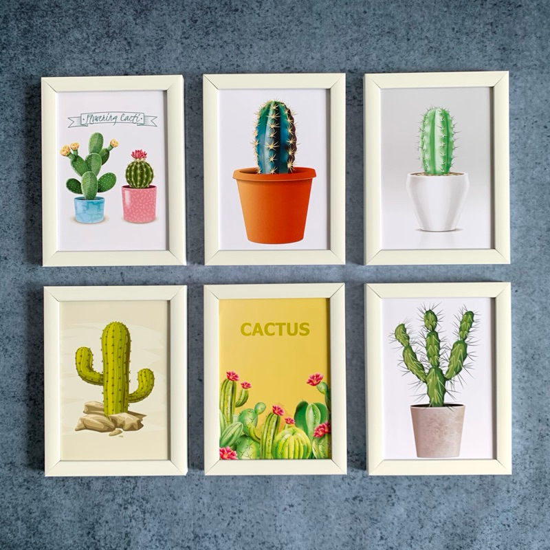 hiasan dinding pajangan kaktus dekorasi kamar