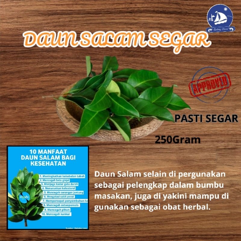 

DAUN SALAM SEGAR | BUMBU MASAKAN | PELENGKAP BUMBU | BUMBU DAPUR | DAUN HERBAL | KEMASAN 250 GRAM