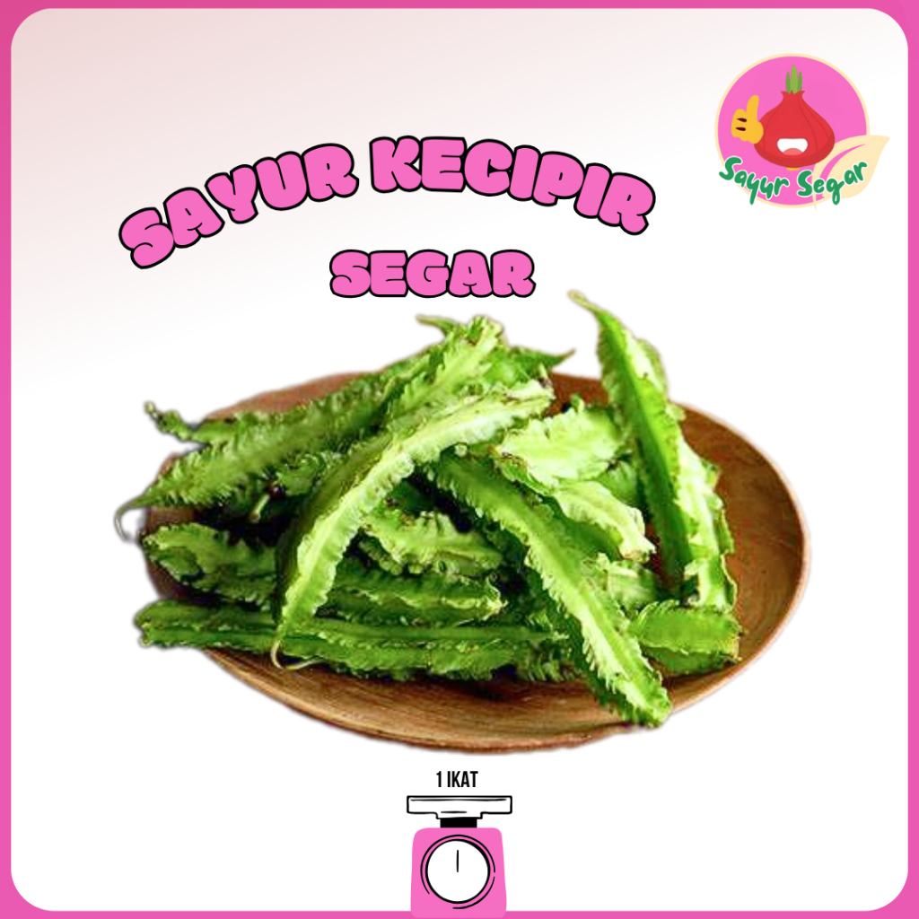 

Sayur Segar - Kecipir Segar/Chickpea 1 Ikat