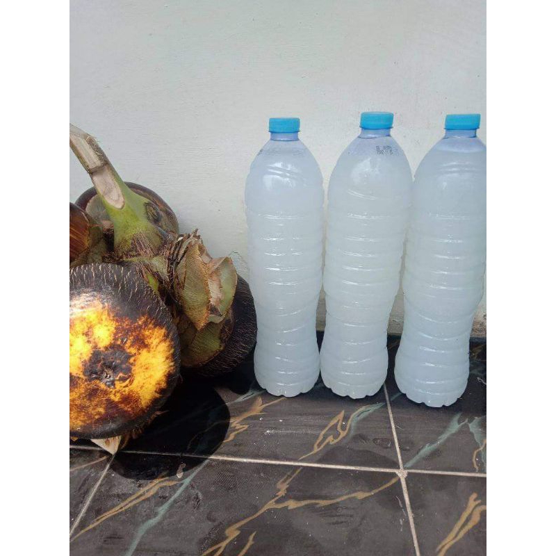 

Minuman Air Buah Lontar - Legen Asli 100% - Minuman Tradisional Khas Gunung Sari Kab Pasuruan kemasan 1.500 ml