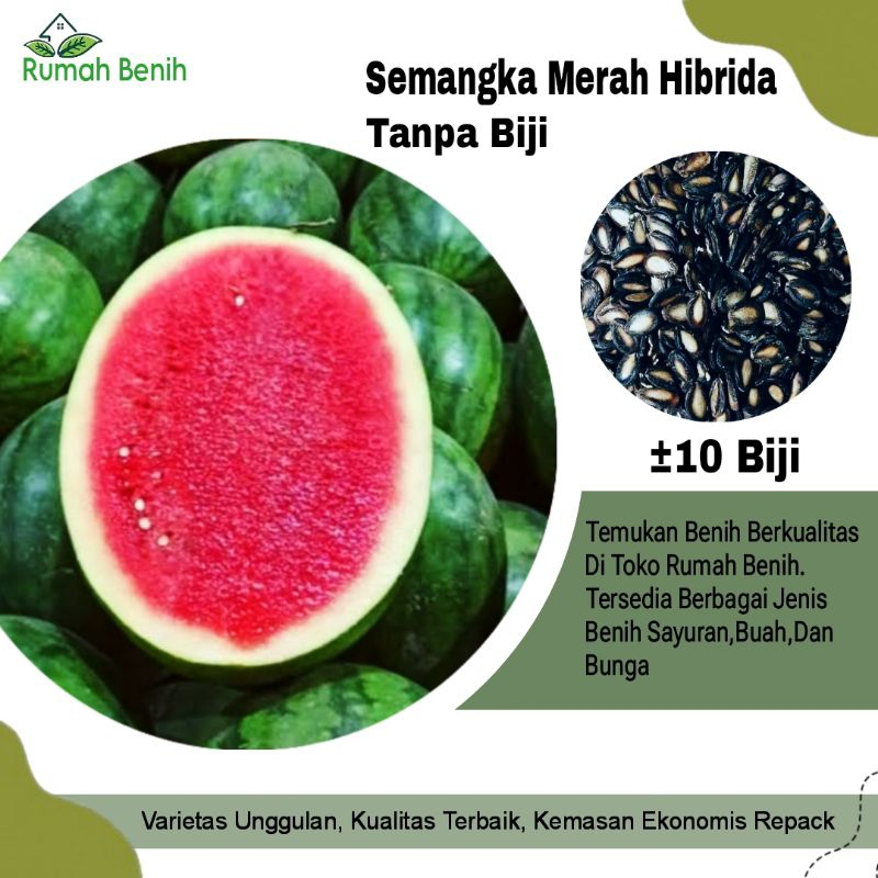 Benih Semangka Merah Non Biji / Bibit Buah Semangka Non Biji / Benih Buah Semangka / Bibit Buah Sema