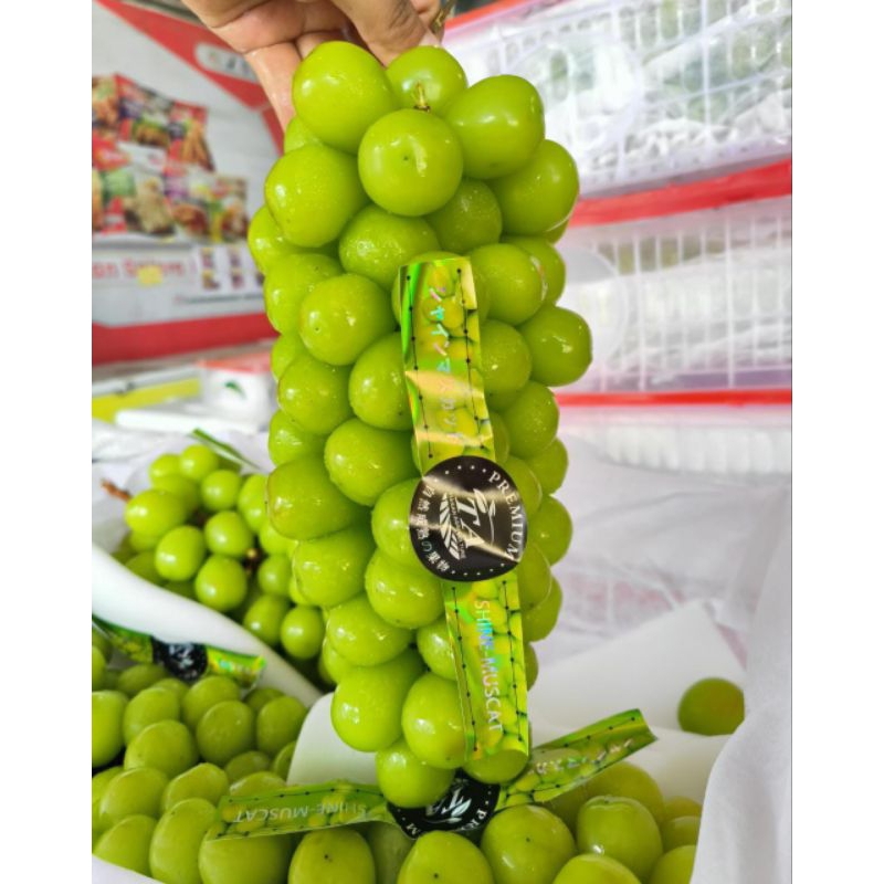 

Anggur Muscat 500gr Maniss