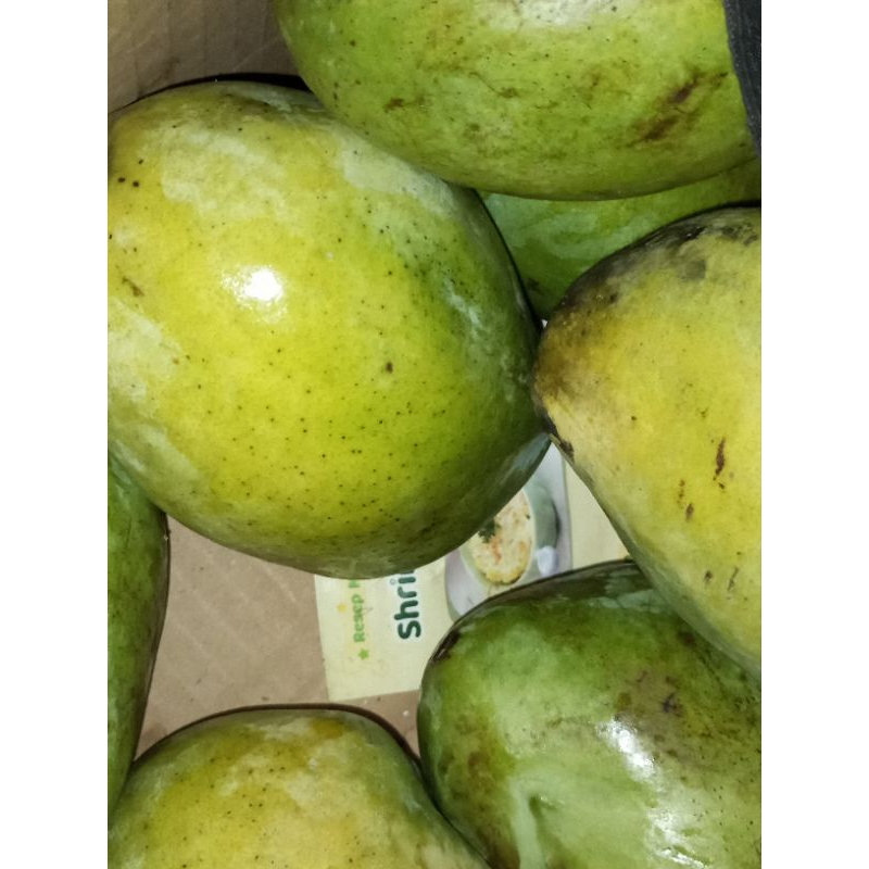 

Mangga manis