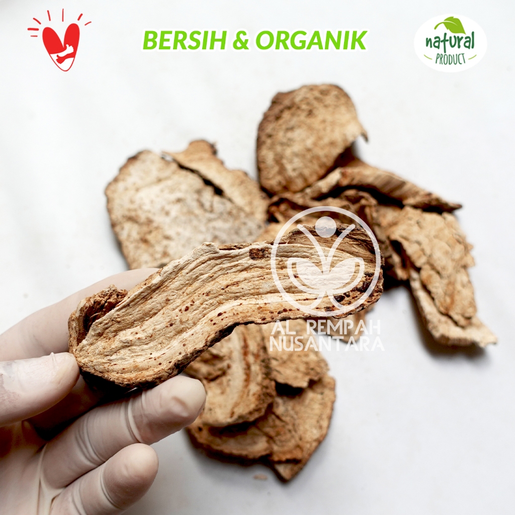 

Umbi Bidara Upas Kering 500gr Bersih dan Organik