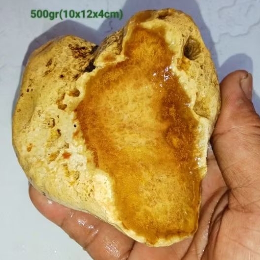 batu fosil sarang tawon kristal (497)