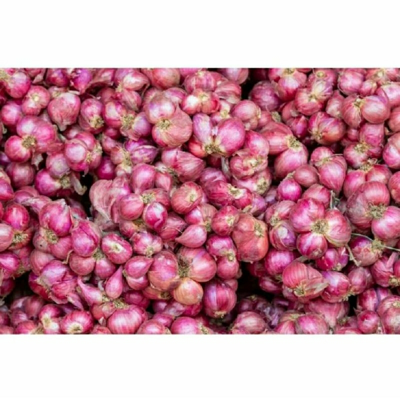 

BAWANG MERAH 250GRAM KUALITAS SUPER