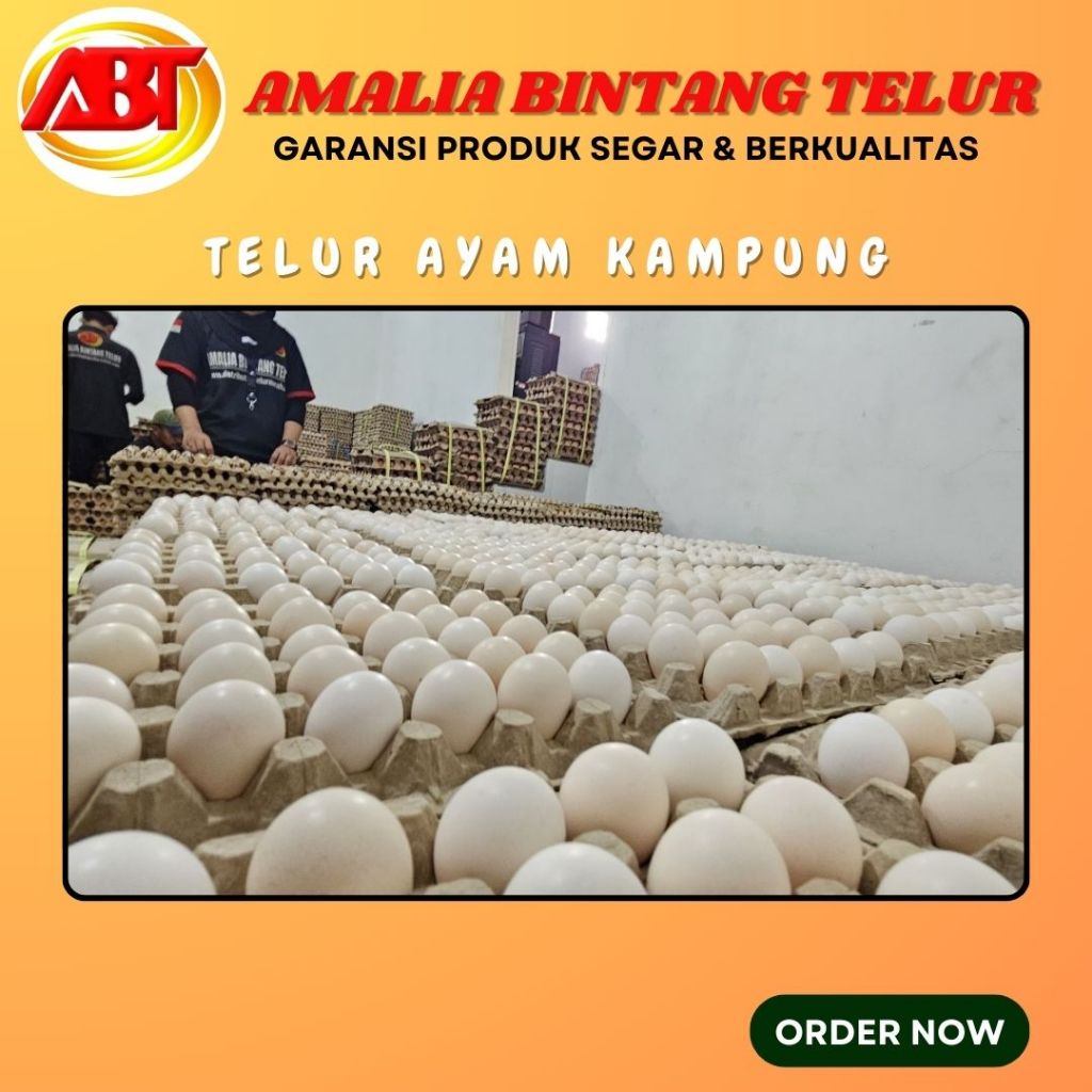 

ABT - Telur Ayam Kampung Asli Fresh