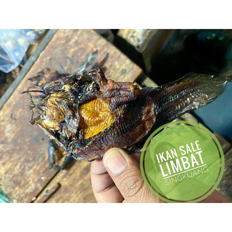 

Ikan Limbat Singkuang Asap/Sale