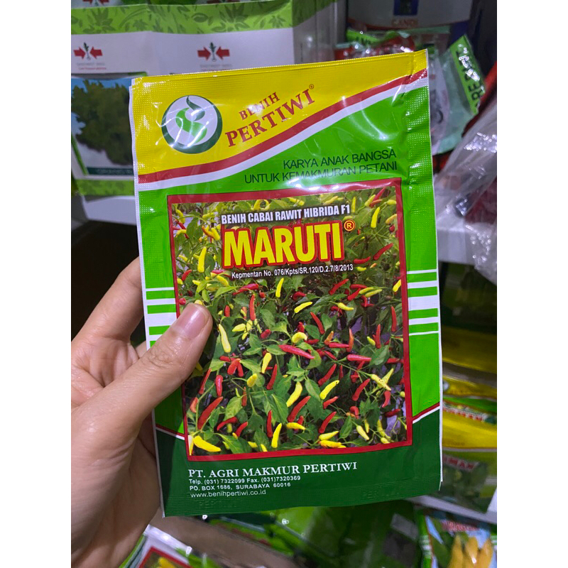 Cabe rawit putih MARUTI 10 gram cabe maruti F1 10gr cabe setan dari benih pertiwi