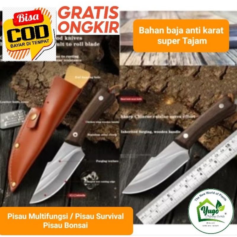 Pisau Multifungsi Pisau Survival Pisau Bonsai Pisau Daging