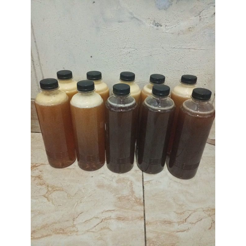 

Madu Murni Liar (Tawon Ndoan)