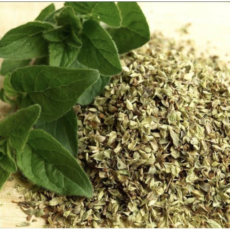 

Dried Oregano Leaves Premium / Daun Oregano Kering 1 kg / Daun Oregano - Turkey
