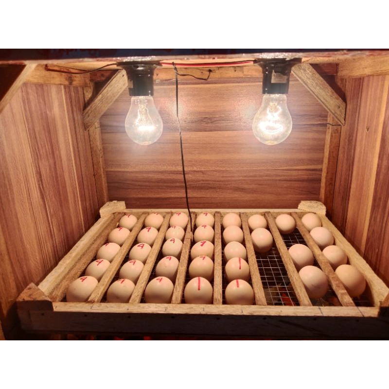 

telur ayam filipin line sweater (fertil)