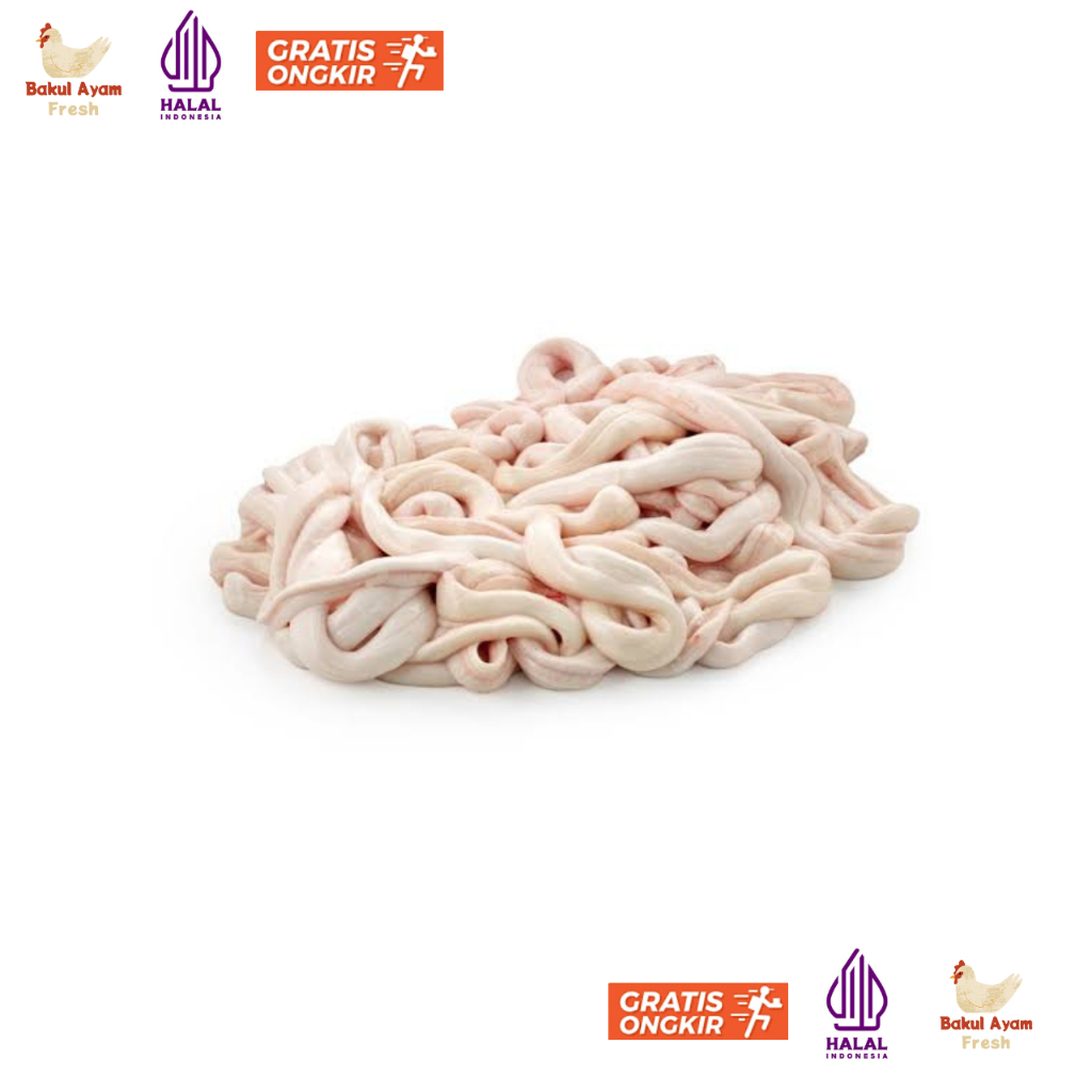 

Usus Ayam Segar / Usus Ayam Fresh 500 gram (Ayam Segar)