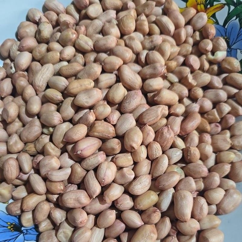 

Kacang tuban 8 mili kemasan 250g