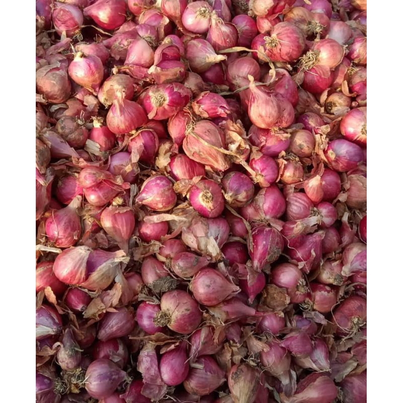 

RB Bawang Merah Super 500 gr