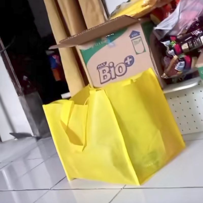 

(isi 12 PCS) Tas Spunbond Model Box Jahit 32x26x27 - Goodie Bag Besek Jumbo Harga per Lusin