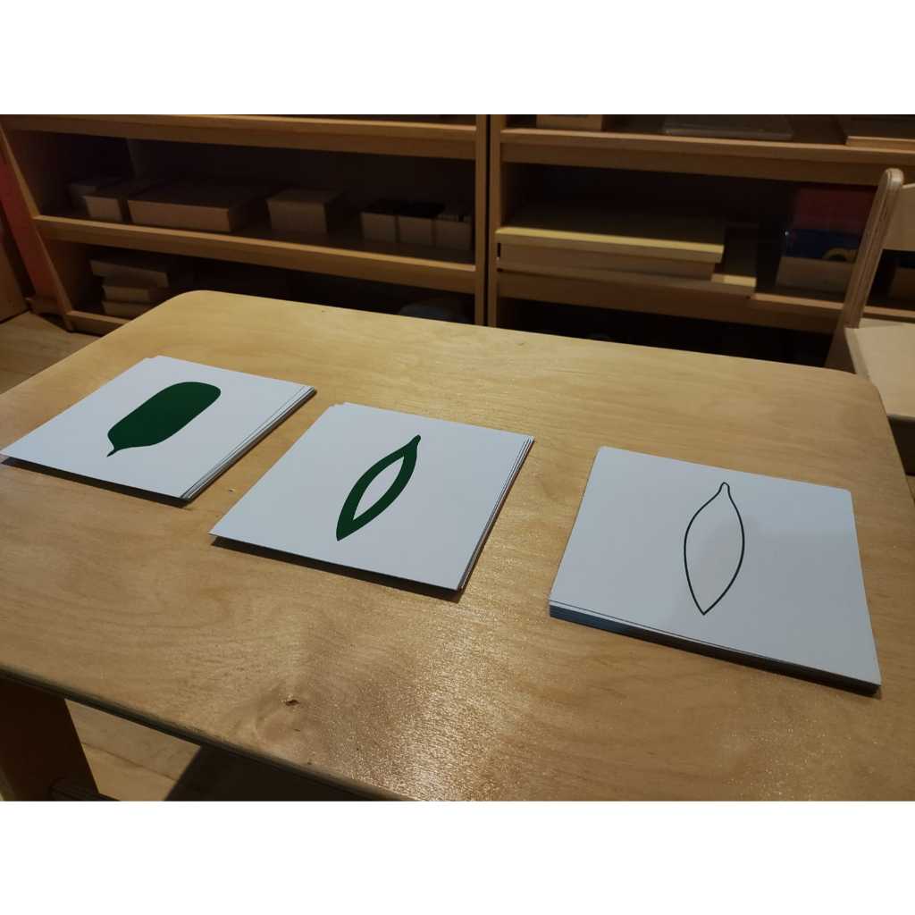 Leaf Card Montessori Material