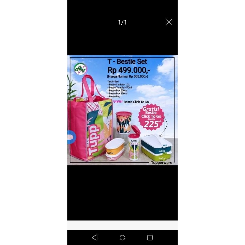 T- bestie set tupperware