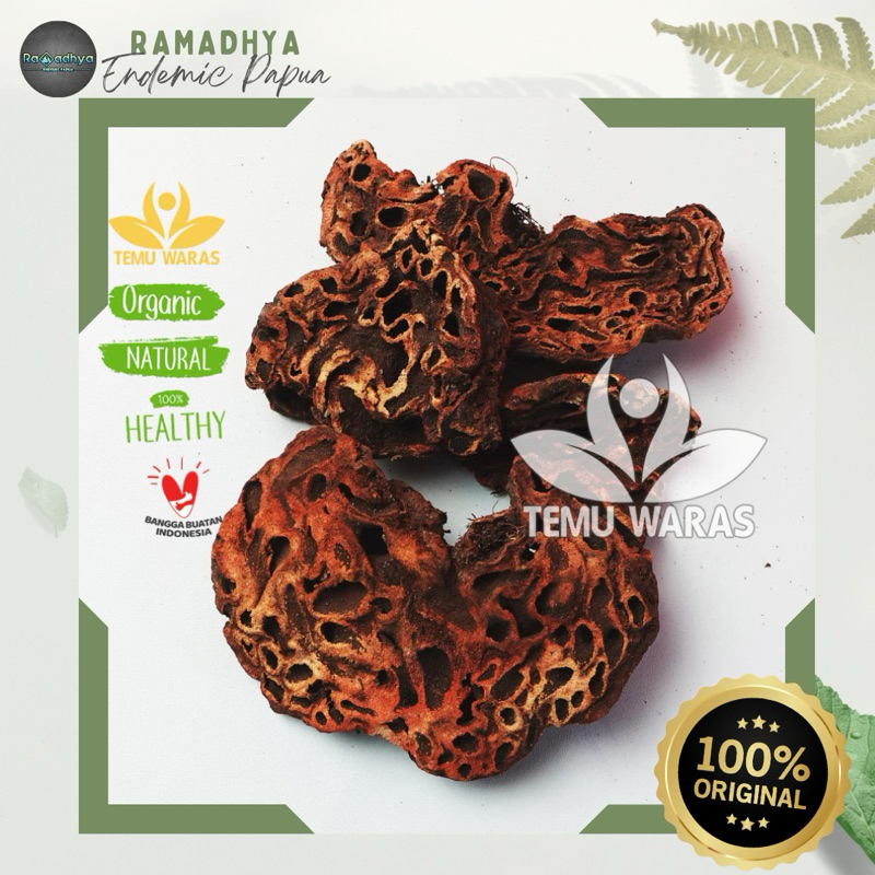 Sarang Semut Asli Papua Original 100% Sarang Semut Papua - Asli Papua Grade A
