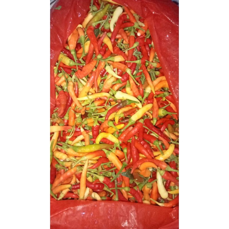 

cabe rawit fresh 1kg