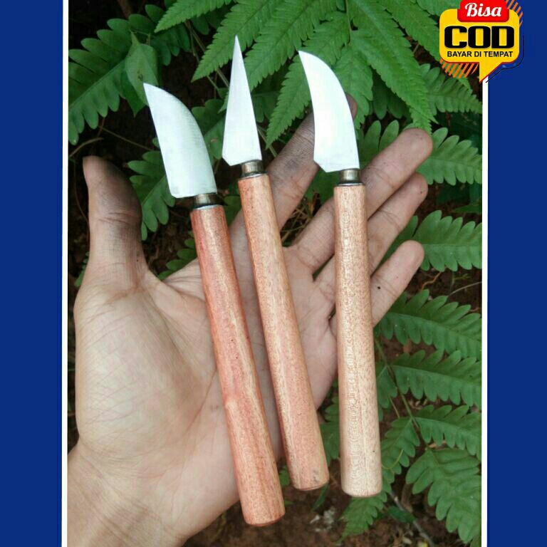 

Murah Populer Set pisau grafting okulasiPisau Ukir multifungsiPisau serut mini baja asli