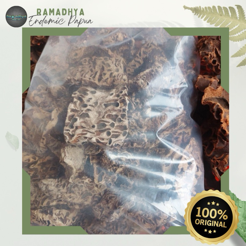 Sarang Semut Asli Papua Original 100% Sarang Semut Putih, Sarang Semut Putih Asli Papua, Sarang Semu