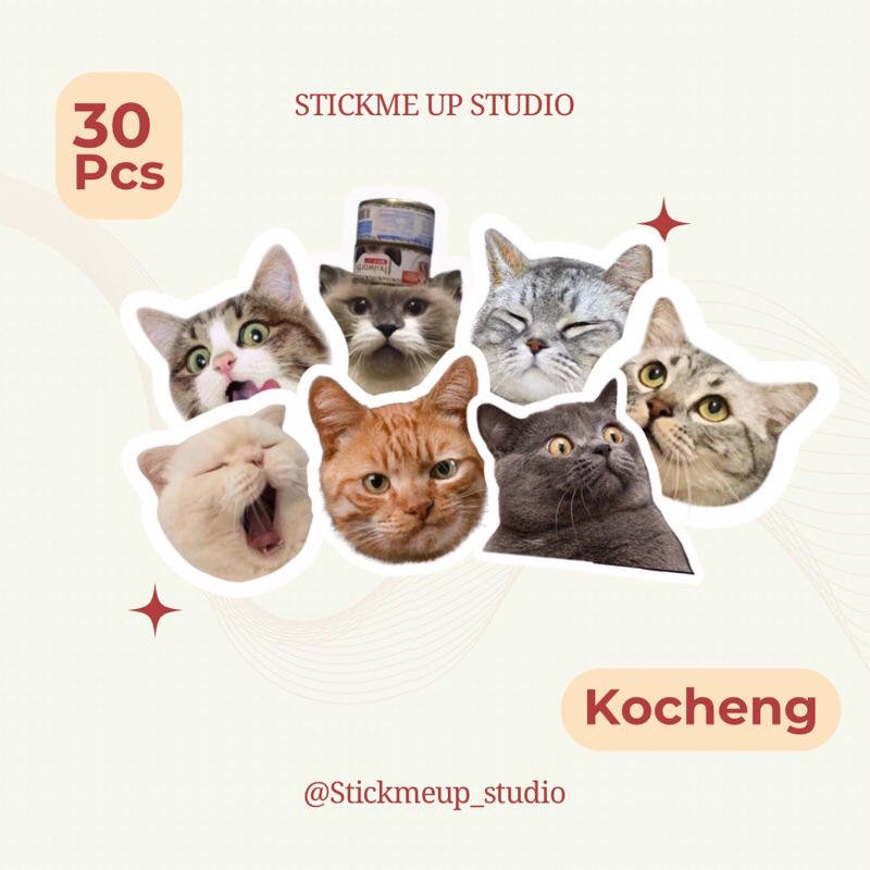 

Sticker Pack Meme Kucing Aesthetic Paper Vinyl Waterproof Dekorasi Stiker Laptop Buku Journal Koper