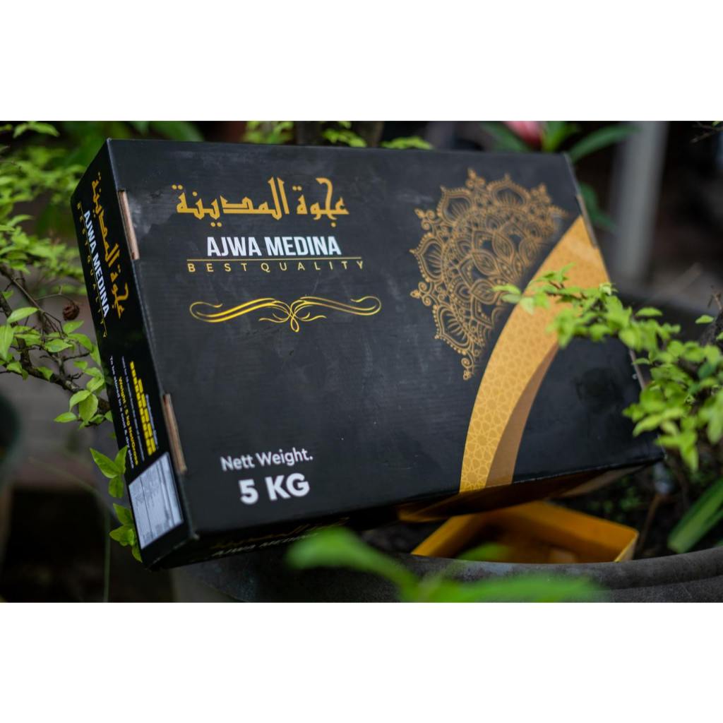 

Kurma Ajwa Super Medina Dates Panen Terbaru 5 kg