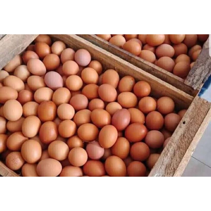

Telor Ayam 1kg