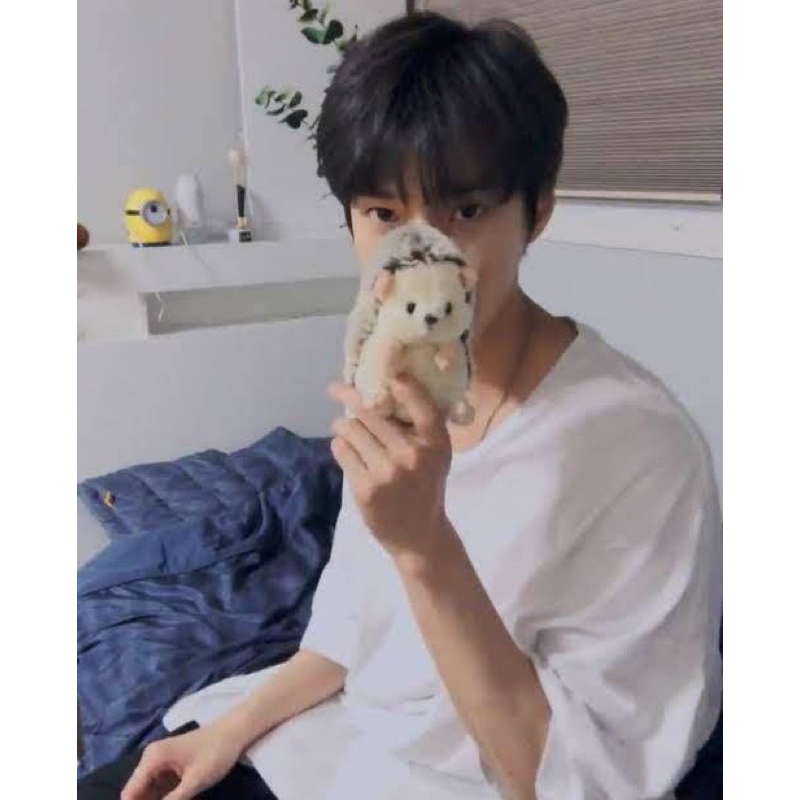 Sunlemon Hedgehog/ Boneka Landak/ Boneka Doyoung Dochi