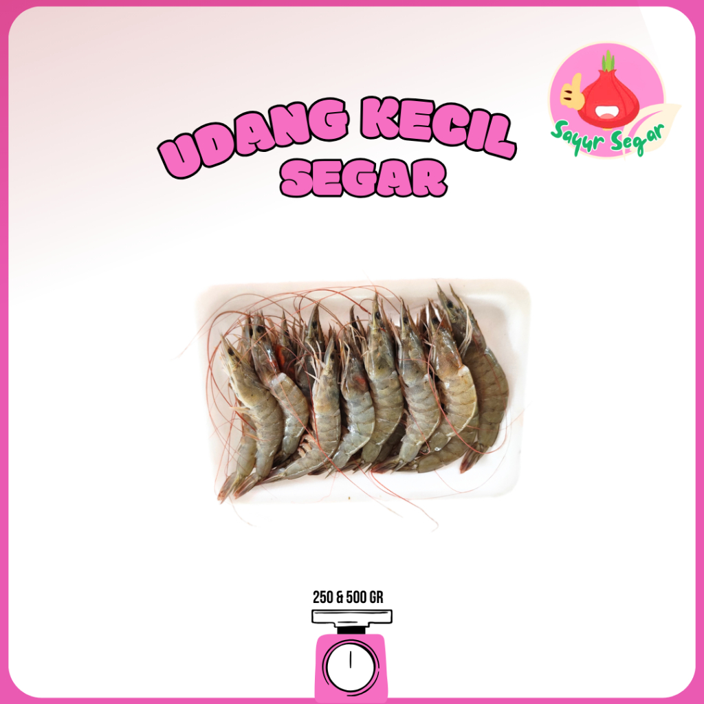

Sayur Segar - Udang Segar Ukuran Kecil / Small Shrimps