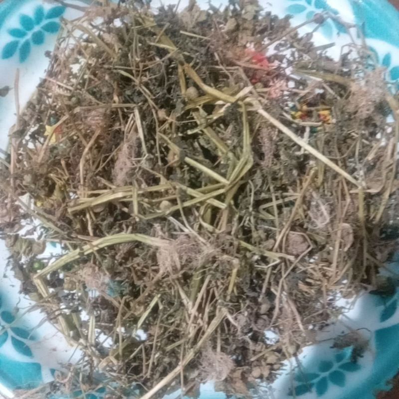 

Ciplukan kering ,per pack ,akar,batang,daun,jadi satu