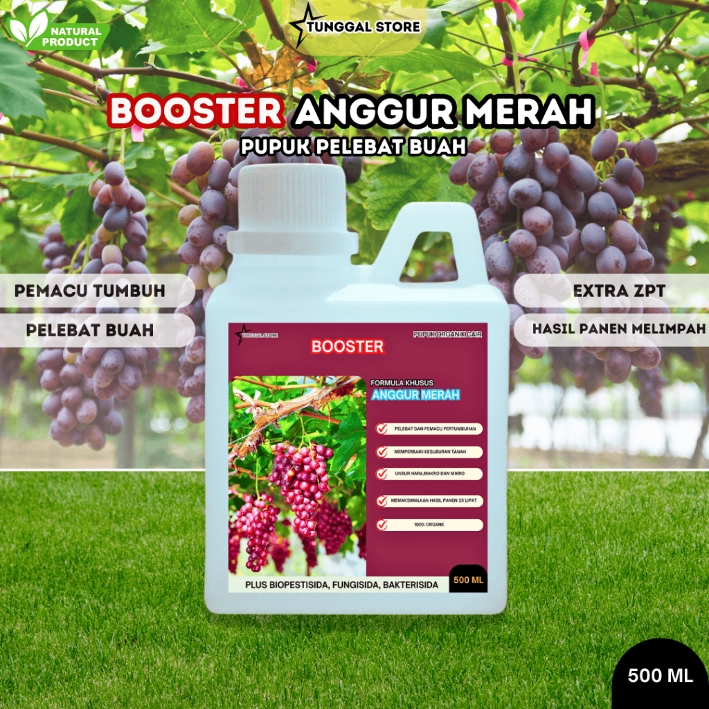 pupuk organik cair tanaman anggur, booster pelebat buah anggur,perangsang masa pembuahan anggur