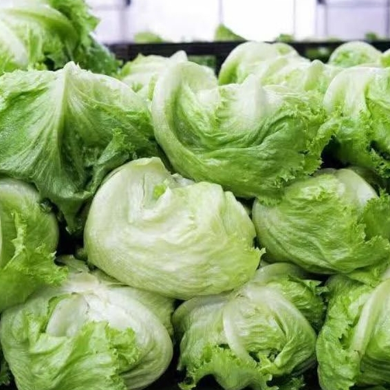 

Lettuce 500 gram