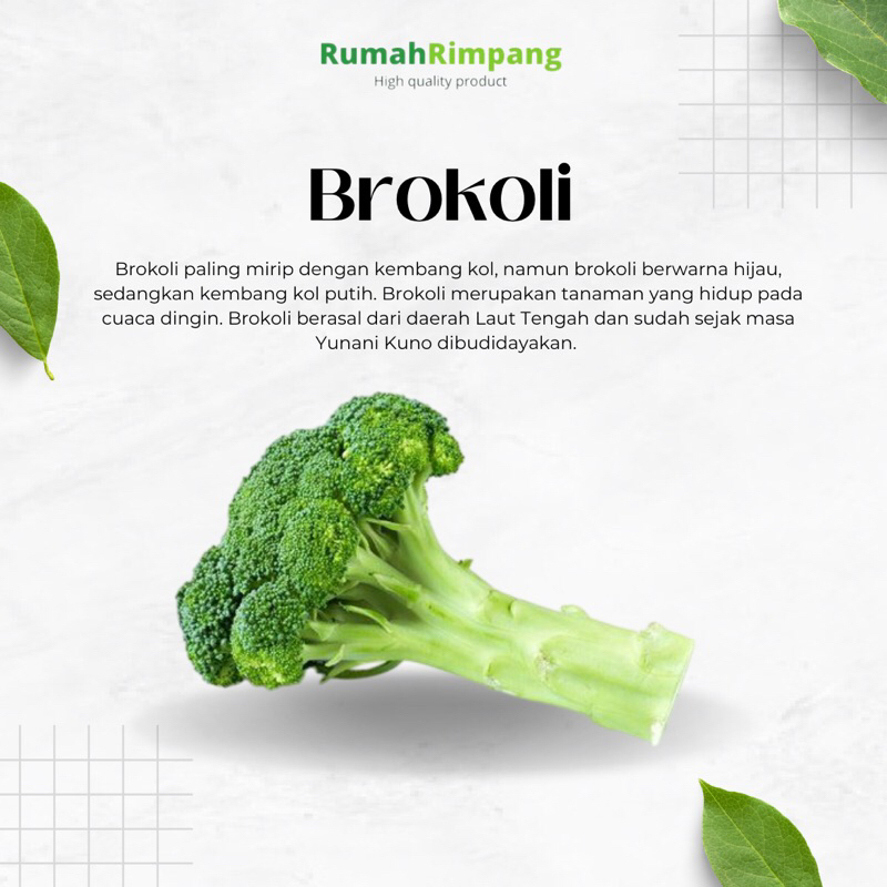 

[BISA INSTAN] JUAL SAYUR BROKOLI FRESH - BERAT 500 GR