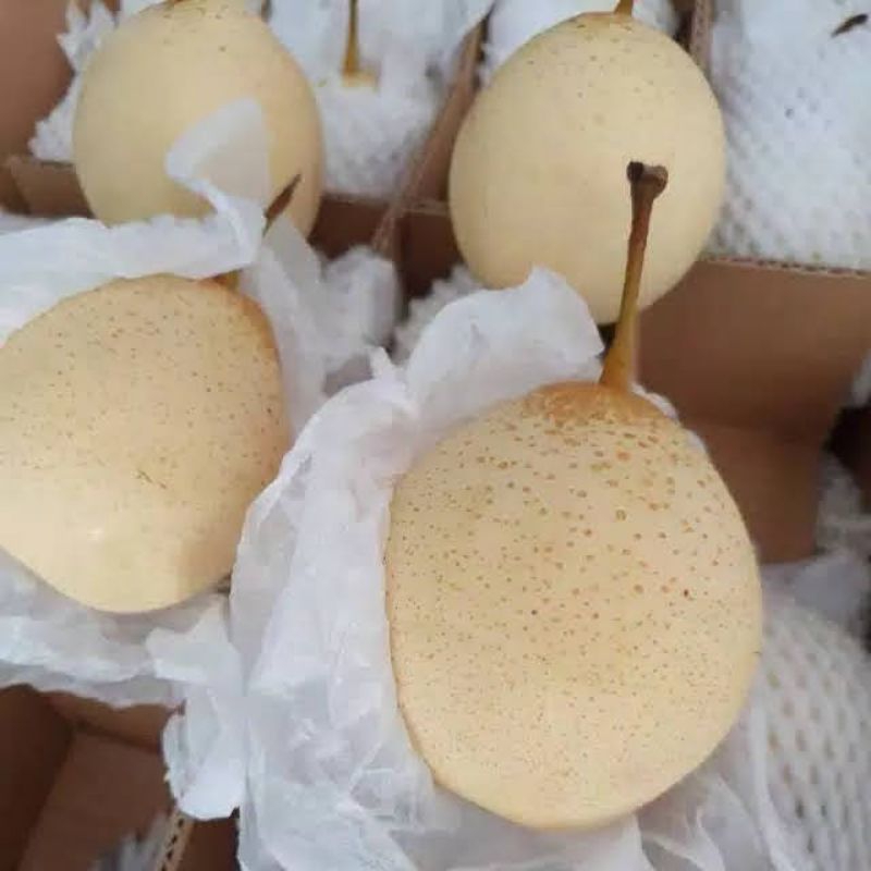 

buah pear yali frash manis 1kg