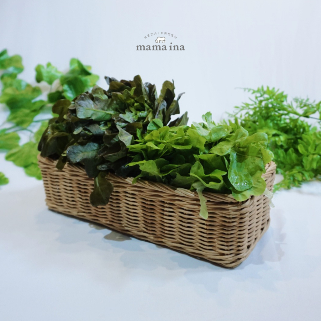 

Salanova Mix Oak Leaf 200g