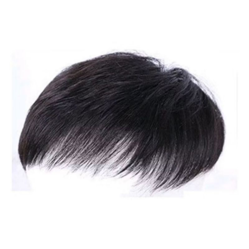 TUTUP BOTAK PRIA TOUPEE PRIA WIG PENUTUP BOTAK PRIA