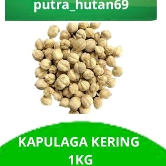 

KAPULAGA KERING 1 KG KAPULAGA BERSIH MURAH MERIAH NYAMAN DI KANTONG