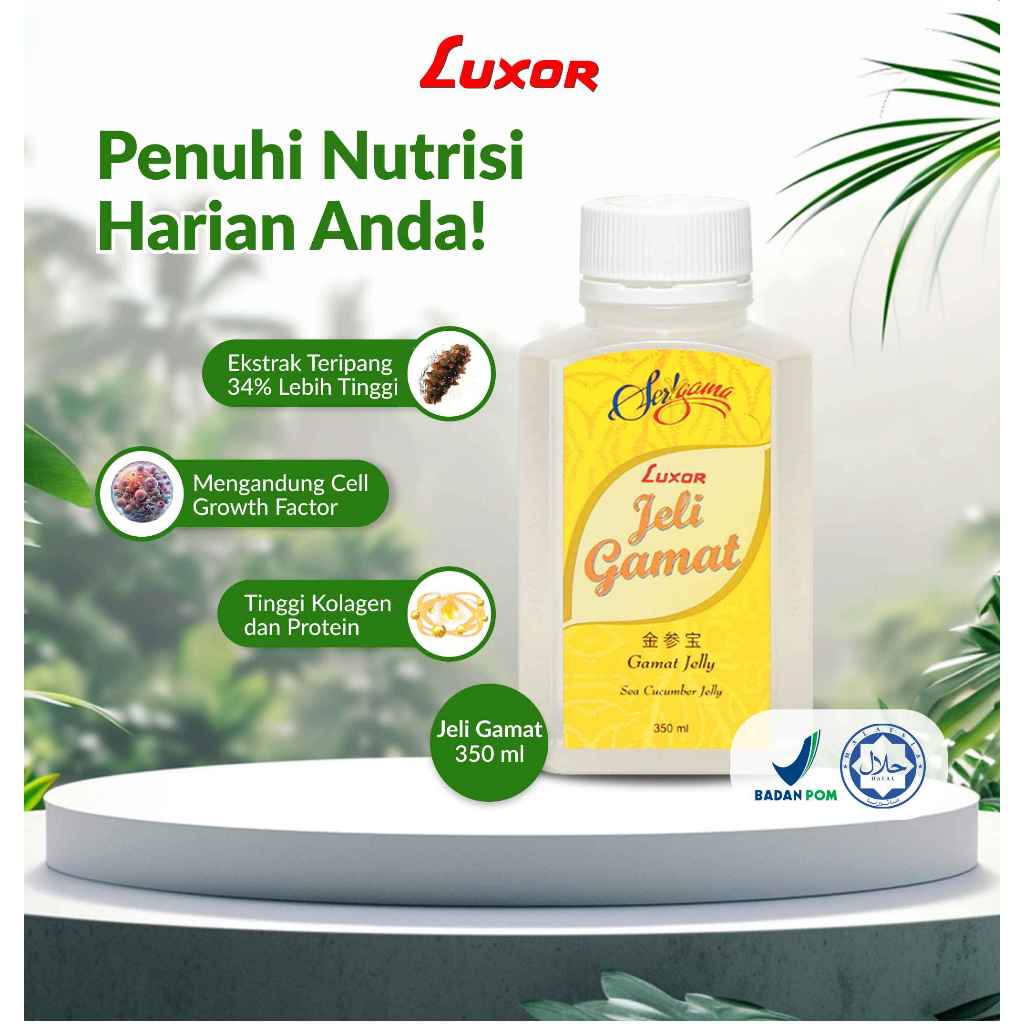 Jeli gamat luxor 350ml GAMAT JELLY LUXOR asli impor bukan abal abal 100% Asli