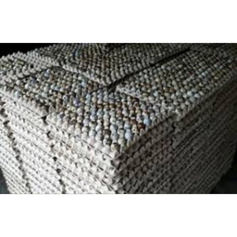 

telur puyuh 1 ikat 10kg
